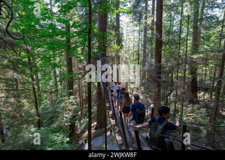 People Crossing A Treetop Suspension Bridge Stock Photo