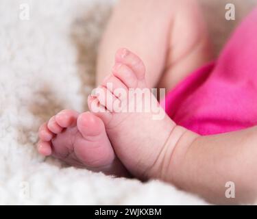 Zoom in on newborn baby toes Stock Photo