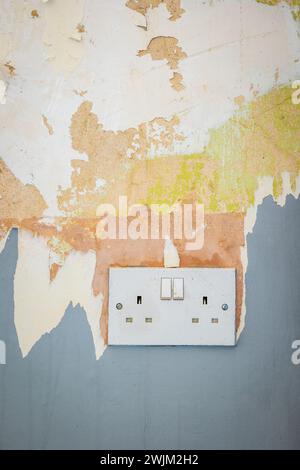 White plug socket closeup during room renovation in england uk. Stock Photo