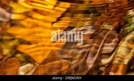 River Water Blurred Leaves Abstract Background Stock Photo