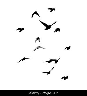 Flying birds silhouette flock. hand drawing. Not AI, Vector illustration Stock Vector