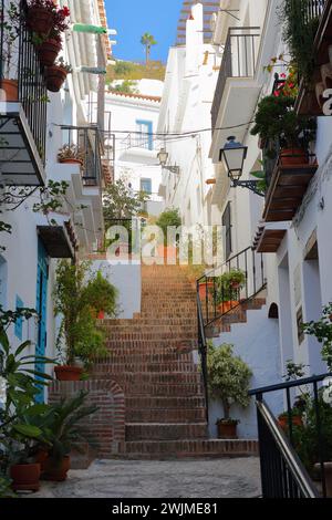 A picturesque narrow and steep cobbled alley in Frigiliana, Axarquia, Malaga province, Andalusia, Spain, with traditional whitewashed little houses Stock Photo