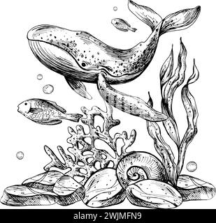 Underwater world clipart with sea animals whale, fishes, shells, coral and algae. Graphic illustration hand drawn in black ink. Composition EPS vector Stock Vector