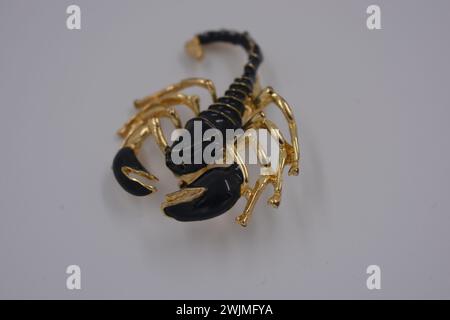 Beautiful jewelry, stylish women's costume jewelry, a black and gold brooch in the form of a real scorpion is located on a white background. Stock Photo