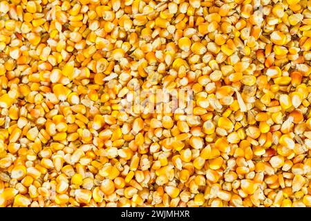 Corn kernels in Colombia's traditional market Stock Photo