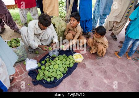 24 of September 2023, Thatta, Pakistan. Local people sell lotus fruits near mosque. Stock Photo