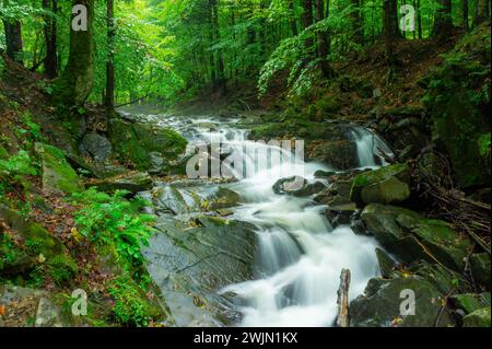 Szepit Waterfall on the Hylaty Stream, small waterfall in green deciduous forest after rain, Zatwarnica, Bieszczady. Idyllic landscape. Pure nature, e Stock Photo