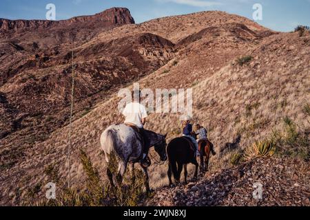Young children on a horseback trail ride through the Chihuahuan Desert of Big Bend National Park in Texas. Stock Photo