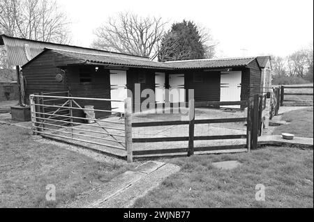 Stables and a Stables yard for horses in the UK Stock Photo