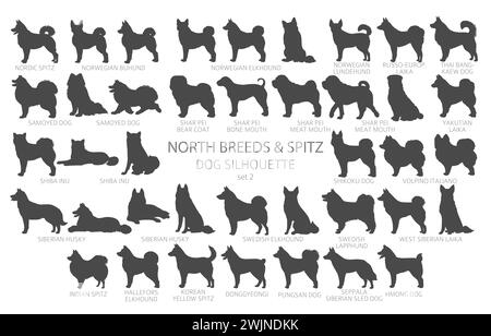 Dog breeds silhouettes simple style clipart. North breeds and Spitz collection.  Vector illustration Stock Vector