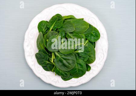 Fresh green baby Spinach leaves, diet and health concept, weight loss, washed spinach on ceramic plate, copy space Stock Photo