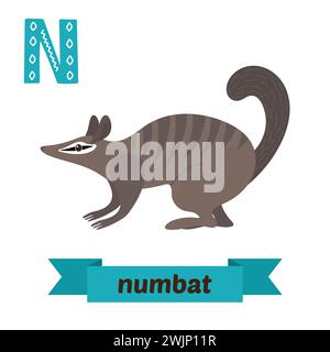 Numbat. N letter. Cute children animal alphabet in vector. Funny cartoon animals. Vector illustration Stock Vector