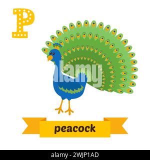 Peacock. P letter. Cute children animal alphabet in vector. Funny cartoon animals. Vector illustration Stock Vector