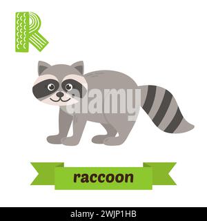 Raccoon. R letter. Cute children animal alphabet in vector. Funny cartoon animals. Vector illustration Stock Vector
