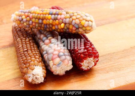 Colorful ears of corn on wooden board Stock Photo