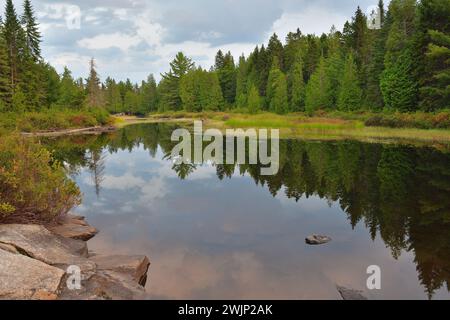 Boreal forest reflection on surreral calm lake. Calm lake at dusk Stock Photo