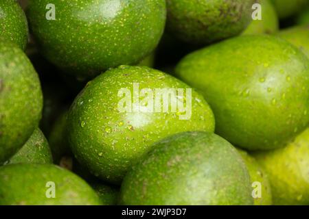 Fresh healthy green avocado on market as background. Agriculture. Food background. Close up. Stock Photo