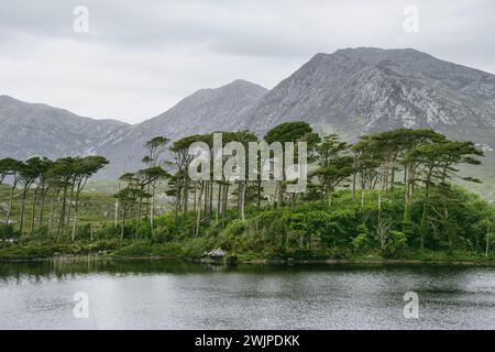 Twelve Pines Island, standing on a gorgeous background formed by the sharp peaks of a mountain range called Twelve Pins or Twelve Bens, Connemara, Cou Stock Photo