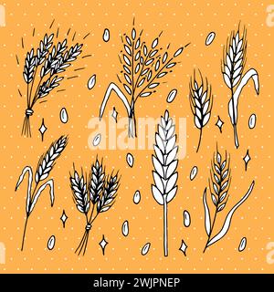 Set of hand drawn wheat ears. Grain spikelets. Doodle, sketch. Bakery design elements. Vector illustration Stock Vector