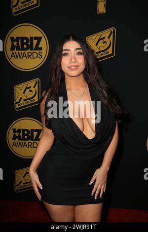 violet myers black dress LOS ANGELES, CA - USA, JANUARY 21, 2024. Adult-entertainment star on the Red Carpet for the Xbiz Awards Stock Photo Color:Blueberry Collection: SS26 REACTIVE Badgley Mischka Sheer Balloon