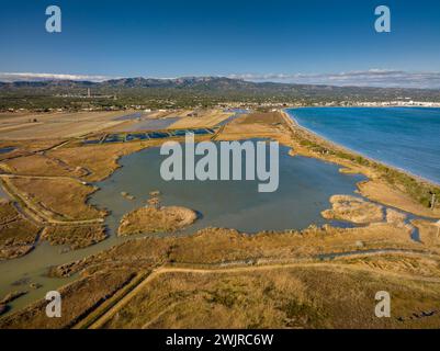 Aerial view of the Bassa de les Olles wetland in winter, north of the Ebro Delta (Tarragona, Catalonia, Spain) ESP: Vista aérea humedal Delta del Ebro Stock Photo