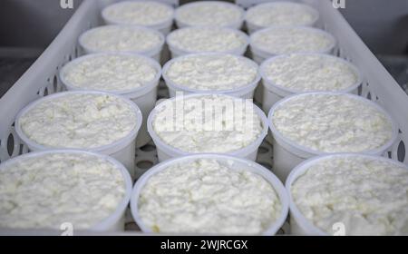 Artisanal production of mató (catalan cottage cheese) in Can Fermí farmhouse, near Montserrat (Bages, Barcelona, Catalonia, Spain) Stock Photo