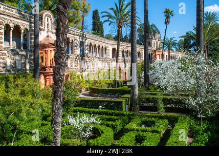 the splendid gardens of the Real Alcazar in the center of Seville still Mudejar architecture Stock Photo