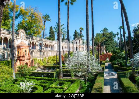 the splendid Mudejar architecture represented by the flower gardens of the Real Alcazar of Seville in Andalusia Stock Photo