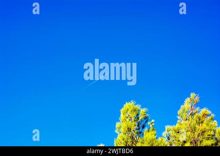 Airplane contrail in blue sky over Penteli mountain with trees. Attica, Greece. Stock Photo