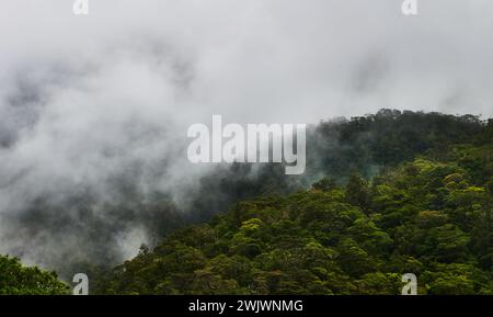 Landscape of Milford Sound / Piopiotahi, South Island, New Zealand Stock Photo