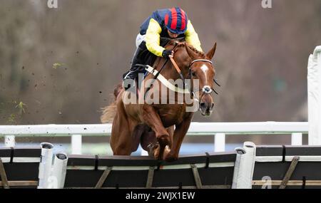 Ascot Racecourse, UK, Saturday 17th February 2024; Pic Roc and jockey Ben Jones win the Ascot Shop Novices' Hurdle for trainer Ben Pauling and owner Mrs Emma Kendall. Credit JTW Equine Images / Alamy. Stock Photo