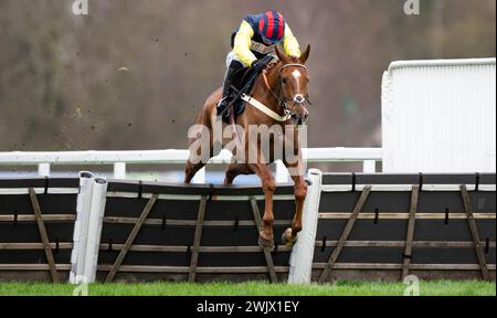 Ascot Racecourse, UK, Saturday 17th February 2024; Pic Roc and jockey Ben Jones win the Ascot Shop Novices' Hurdle for trainer Ben Pauling and owner Mrs Emma Kendall. Credit JTW Equine Images / Alamy. Stock Photo