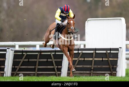 Ascot Racecourse, UK, Saturday 17th February 2024; Pic Roc and jockey Ben Jones win the Ascot Shop Novices' Hurdle for trainer Ben Pauling and owner Mrs Emma Kendall. Credit JTW Equine Images / Alamy. Stock Photo