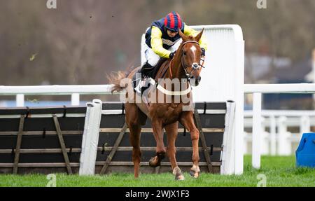 Ascot Racecourse, UK, Saturday 17th February 2024; Pic Roc and jockey Ben Jones win the Ascot Shop Novices' Hurdle for trainer Ben Pauling and owner Mrs Emma Kendall. Credit JTW Equine Images / Alamy. Stock Photo