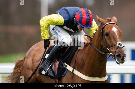 Ascot Racecourse, UK, Saturday 17th February 2024; Pic Roc and jockey Ben Jones win the Ascot Shop Novices' Hurdle for trainer Ben Pauling and owner Mrs Emma Kendall. Credit JTW Equine Images / Alamy. Stock Photo