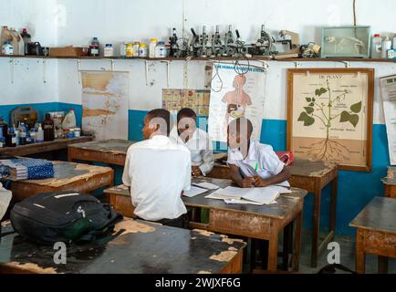 Muslim boys work together in a biology lesson at Jambiani Secondary School in Jambiani, Zanzibar, Tanzania. Stock Photo