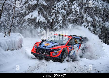 Umea, Sweden. 16th Feb, 2024. Driver Thierry Neuville and Martijn Wydaeghe of Hyundai Shell Mobis World Rally Team, Hyundai I20 N Rally1 Hybrid compete during the 2024 FIA World Rally Championship. (Photo by Luca Barsali/SOPA Images/Sipa USA) Credit: Sipa USA/Alamy Live News Stock Photo