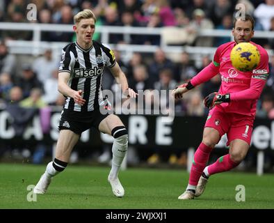 Newcastle Upon Tyne, UK. 17th Feb, 2024. Anthony Gordon of Newcastle United in action with Neto of AFC Bournemouth during the Premier League match at St. James' Park, Newcastle Upon Tyne. Picture credit should read: Nigel Roddis/Sportimage Credit: Sportimage Ltd/Alamy Live News Stock Photo