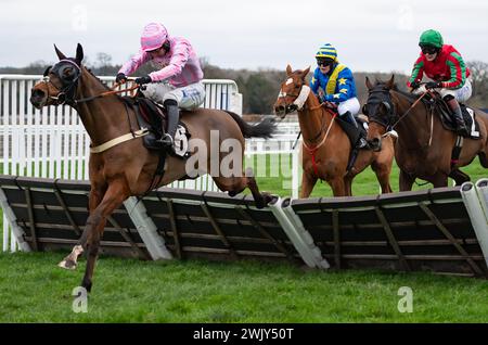 Ascot Racecourse, UK, Saturday 17th February 2024; Honor Grey and jockey Ben Jones win the Ascot Racecourse Supports Box4Kids Handicap Hurdle for trainer Ben Pauling and owners Mr & Mrs J. Tuttiett. Credit JTW Equine Images / Alamy. Stock Photo