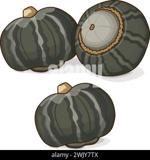 Group of Bonbon Squash. Winter squash. Cucurbita maxima. Fruits and vegetables. Clipart. Isolated vector illustration. Stock Vector