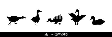 Set of gooses silhouette. Domestic and wild ducks on white background. Agriculture birds on farm. Rural wildlife. Hand drawn print. Vector Stock Vector