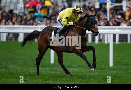 Ascot Racecourse, UK, Saturday 17th February 2024; Anno Power and jockey Jonathan Burke win the British EBF Mares' Open National Hunt Flat Race for trainer Harry Fry and owners Pat & Edward Dolan-Abrahams. Credit JTW Equine Images / Alamy. Stock Photo