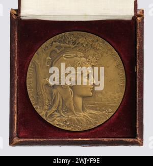 Medal of the 1900 Universal Exhibition, Local Committee of the exhibition in Conakry, and its setting (title awarded). Carnavalet Museum - History of Paris. Stock Photo