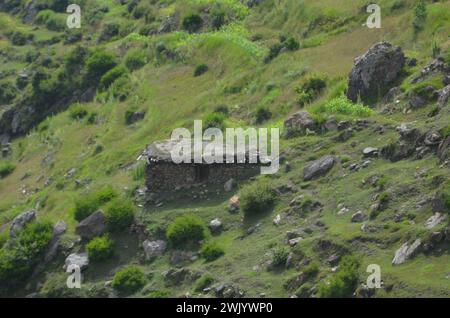 Alpine zone himalaya region of Pakistan Stock Photo