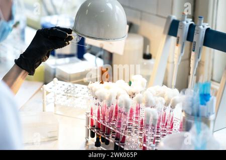 Analyzing biochemical samples in chemical or microbiology laboratory for medicine Stock Photo