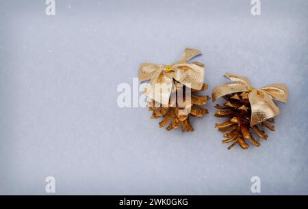 White fine snow background texture, pine cone on snow, winter background. pine twigs with cones in the snow. Christmas card. Winter time concept. Top Stock Photo