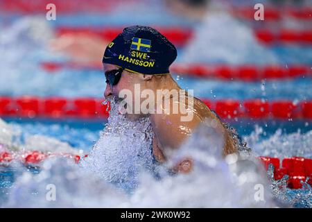 Doha, Qat. 17th Feb, 2024. Sophie Hansson from Sweden at World Aquatics Championships Doha 2024 - sport- swimming -Doha (Qatar) February 17, 2024 (Photo by Gian Mattia D'Alberto/LaPresse) Credit: LaPresse/Alamy Live News Stock Photo