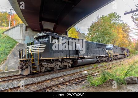 Powerful black diesel locomotives pulling a cargo train under a bridge Stock Photo