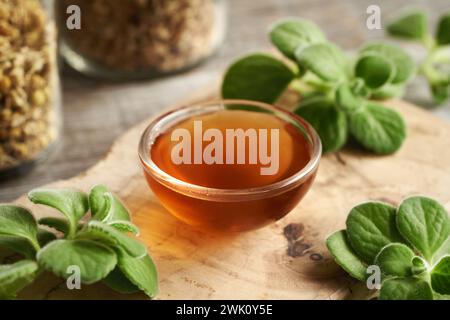 A bowl of homemade Plectranthus amboinicus syrup for common cold on a table Stock Photo