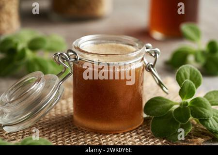 A jar of homemade Plectranthus amboinicus syrup for common cold, with fresh leaves Stock Photo